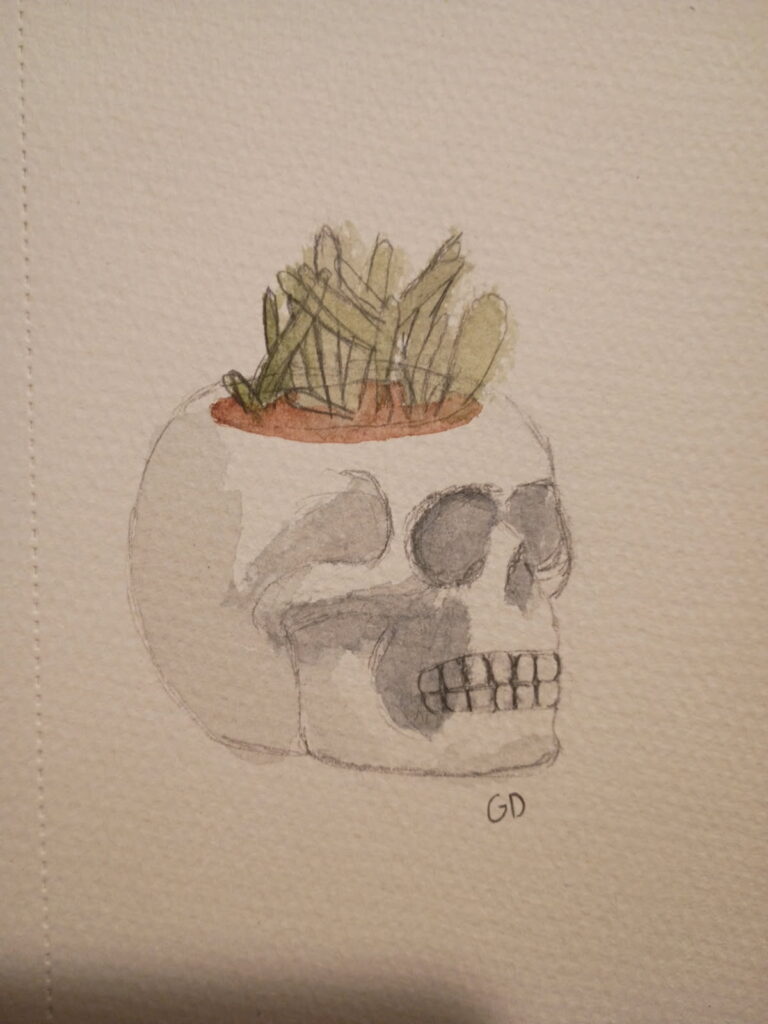 Skull vase with succulent